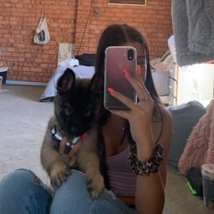 Meet your Posher, Sienna